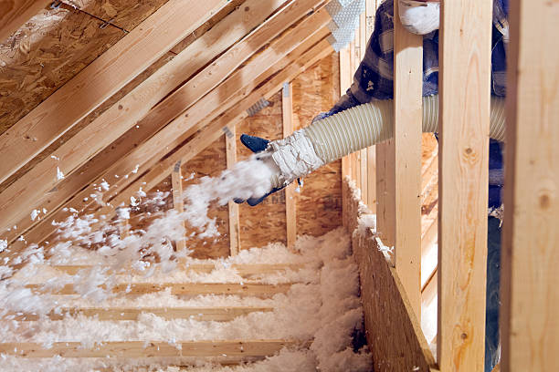 Best Commercial Insulation Services  in Covington, VA